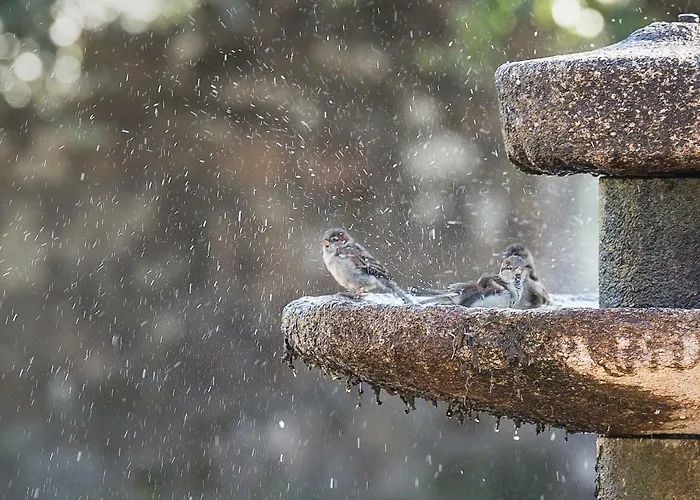 Casa Do Cruceiro * As Galanas