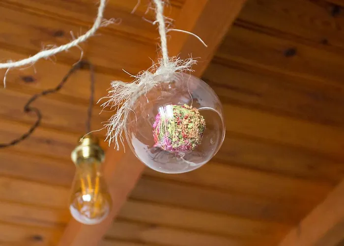 Casa Do Cruceiro カントリーハウス